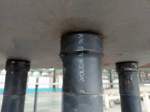 261005565608920955
